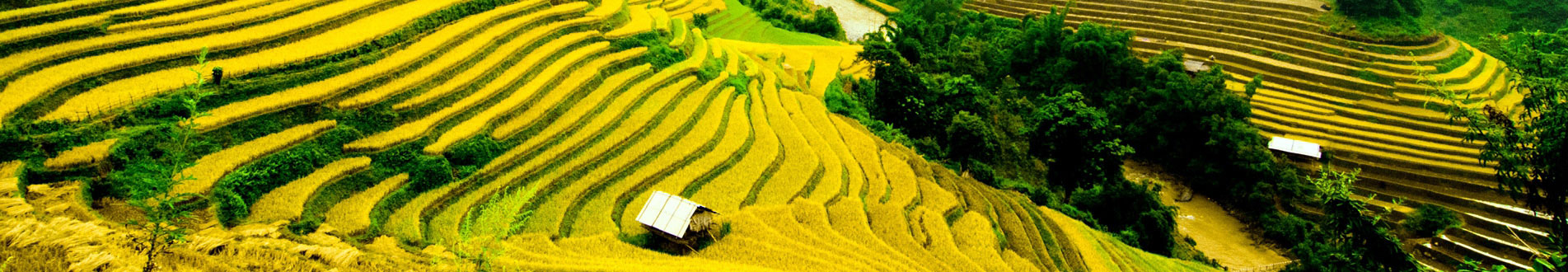 Giang Ta Chai valley - Get a private tour guide