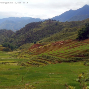 Trekking 1 / 2014-14